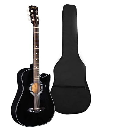Acoustic guitar