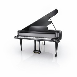 Grand Piano